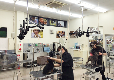 トリミングルーム